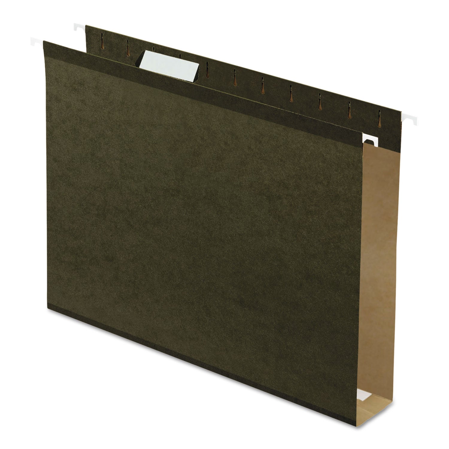 pendaflex-extra-capacity-reinforced-hanging-file-folders-with-box-bottom-num-ess4152x2_1